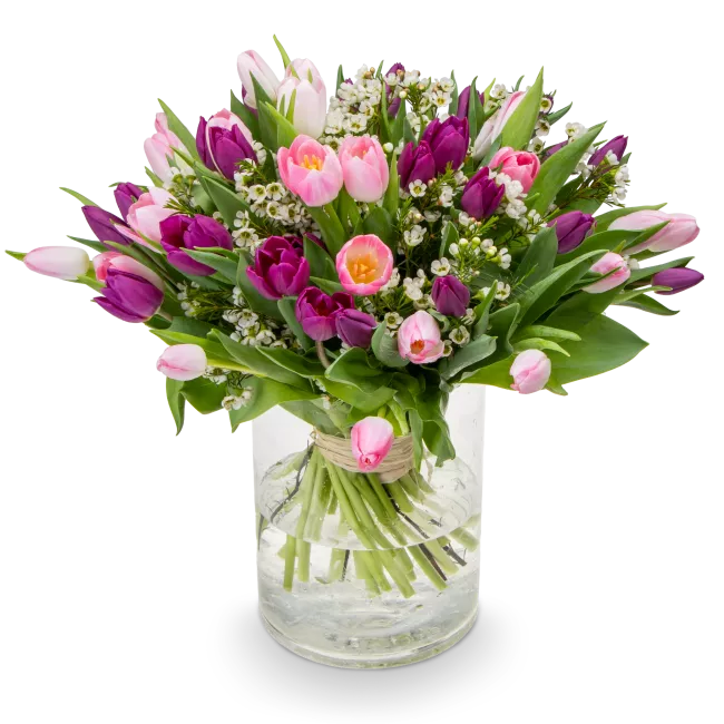Bouquet of tulips purple